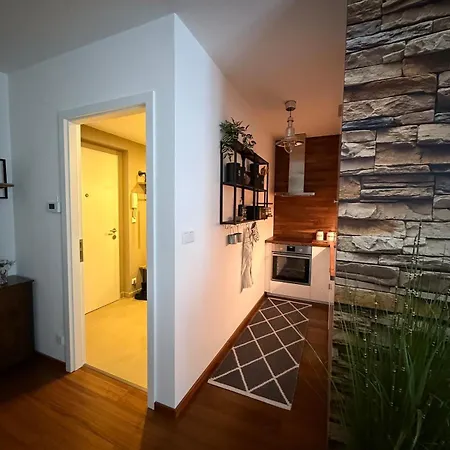 Apartment Lucni Dum 202 *