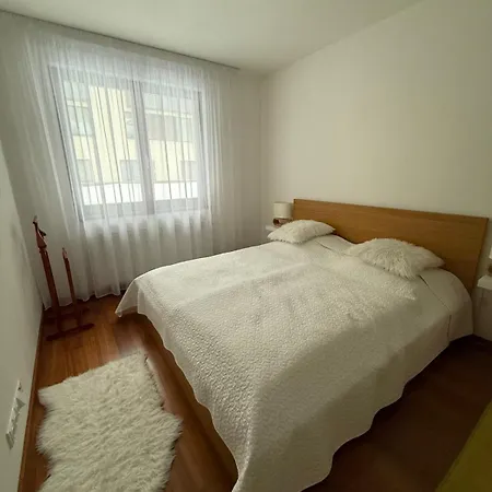 Apartment Lucni Dum 202